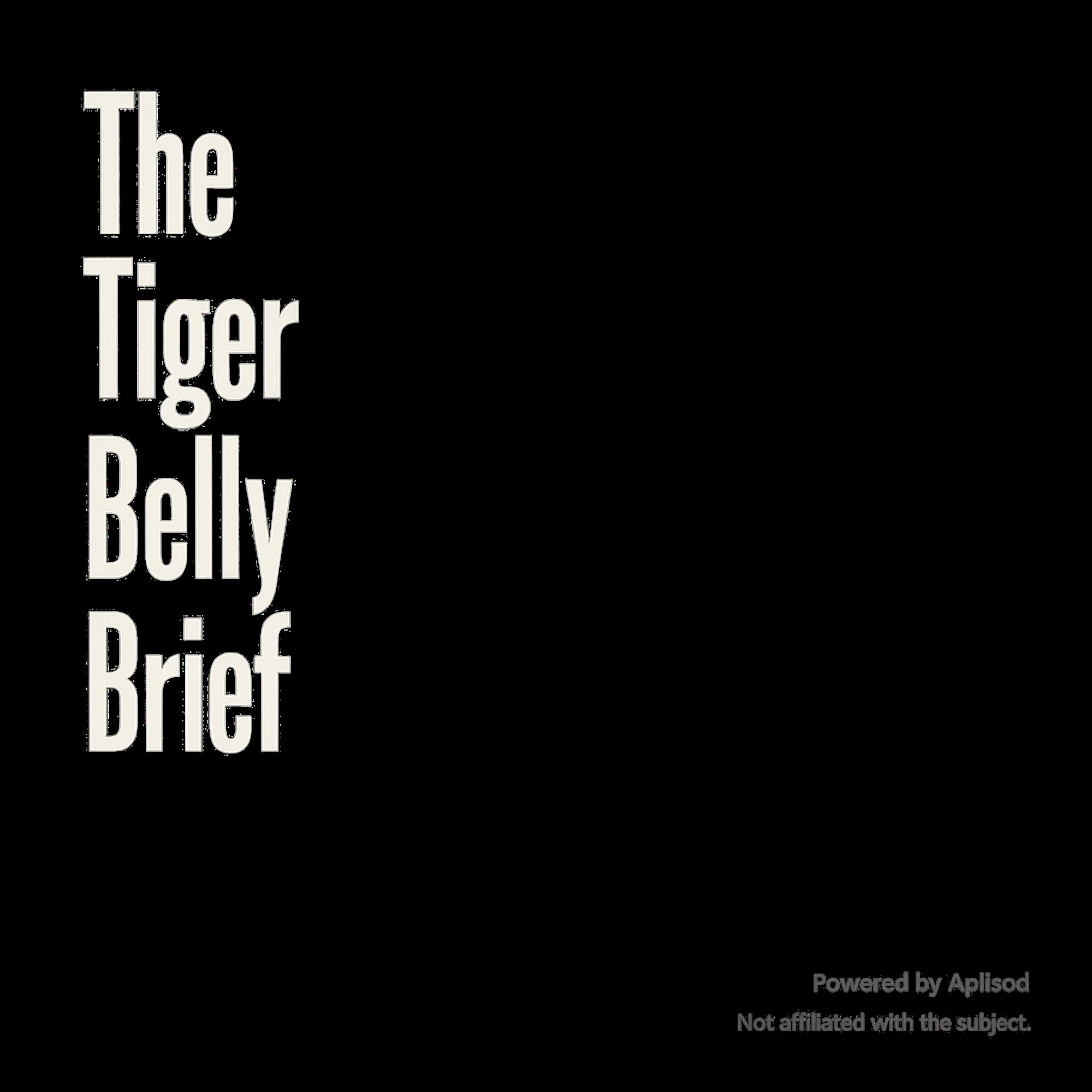 The Tiger Belly Brief cover art