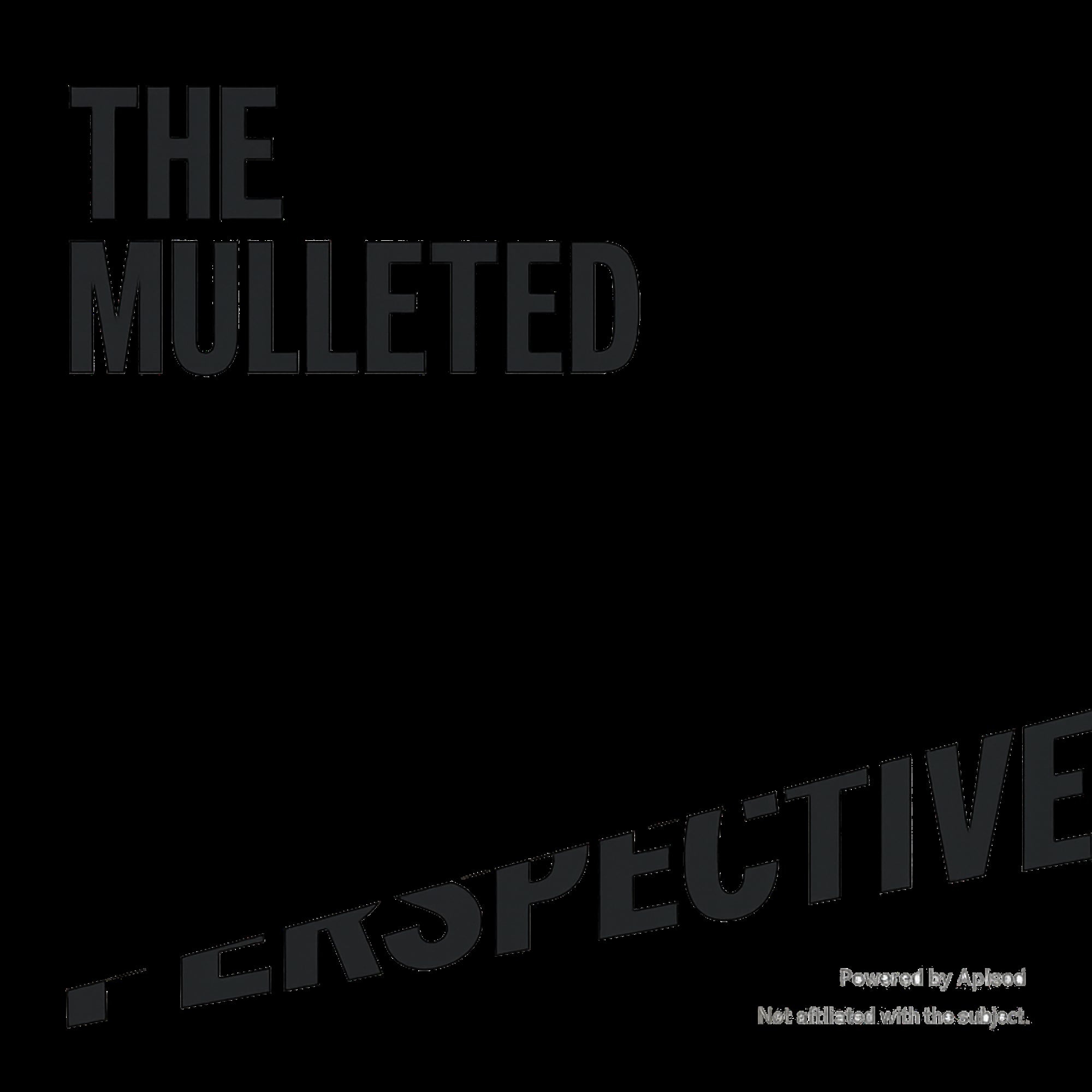 The Mulleted Perspective cover art